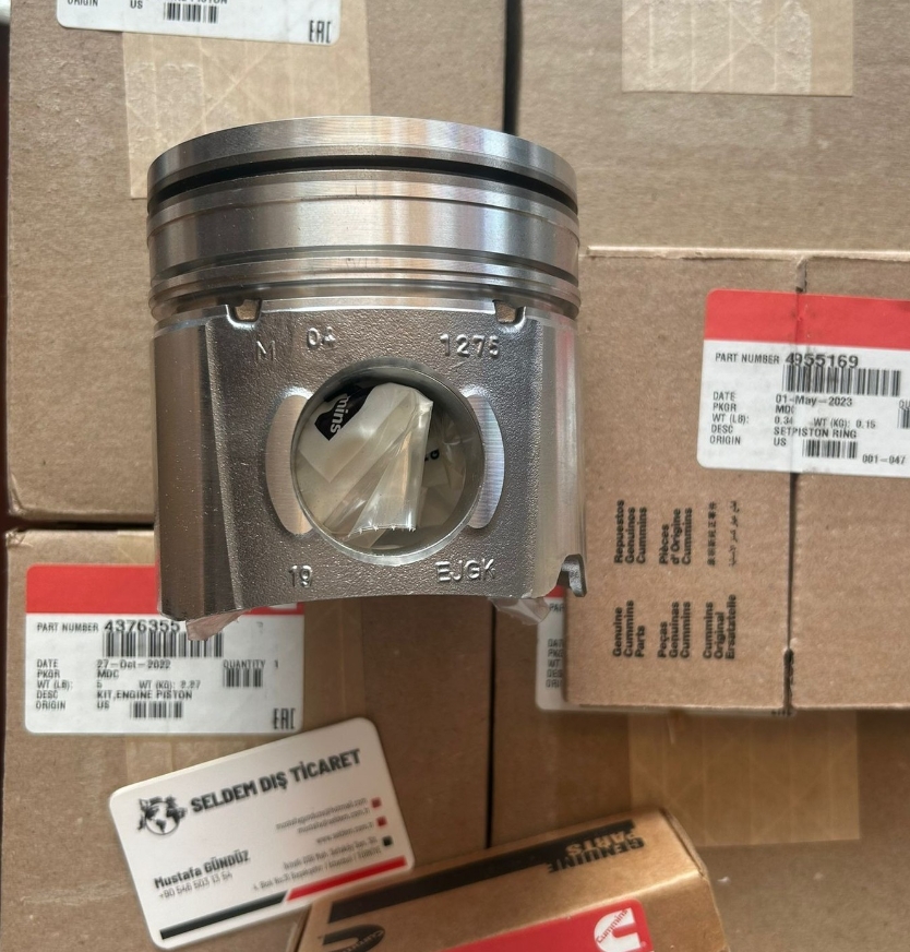 4376355 Cummins Piston 